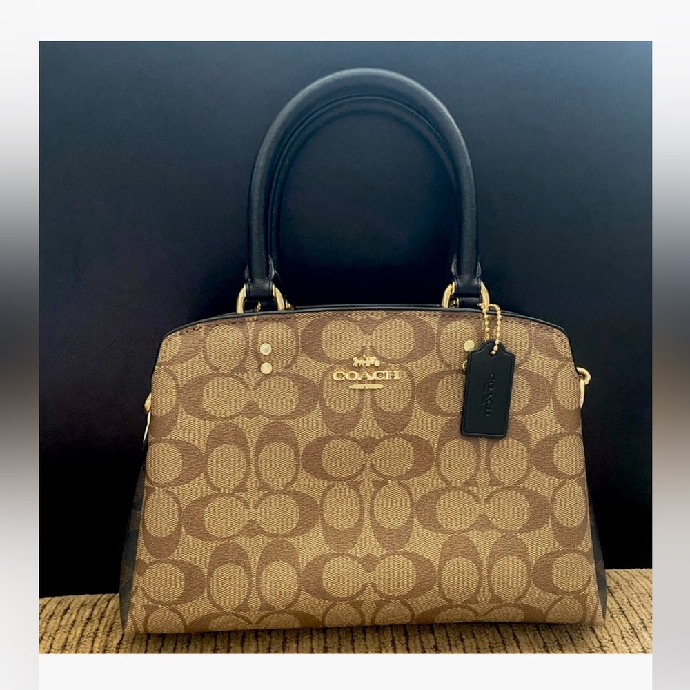 Coach Unisex Mini Lillie Carryall